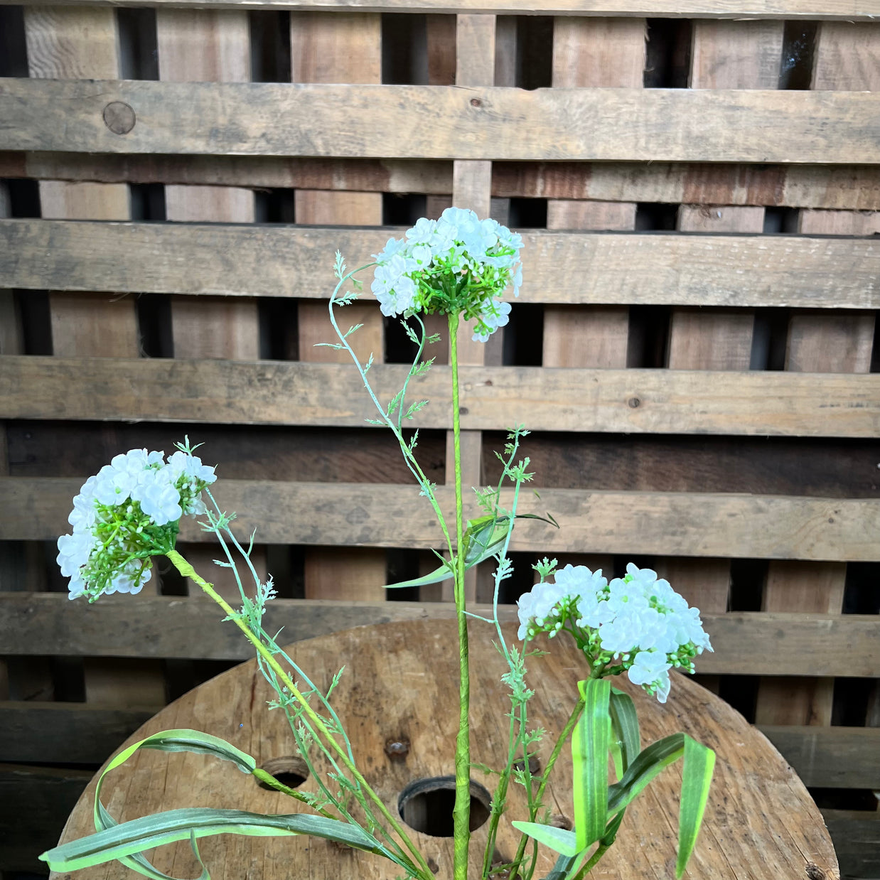 31 Inch Cream snowball floral stem
- 63770CM