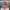 36”H metallic red berry spray - DCSP5184RD