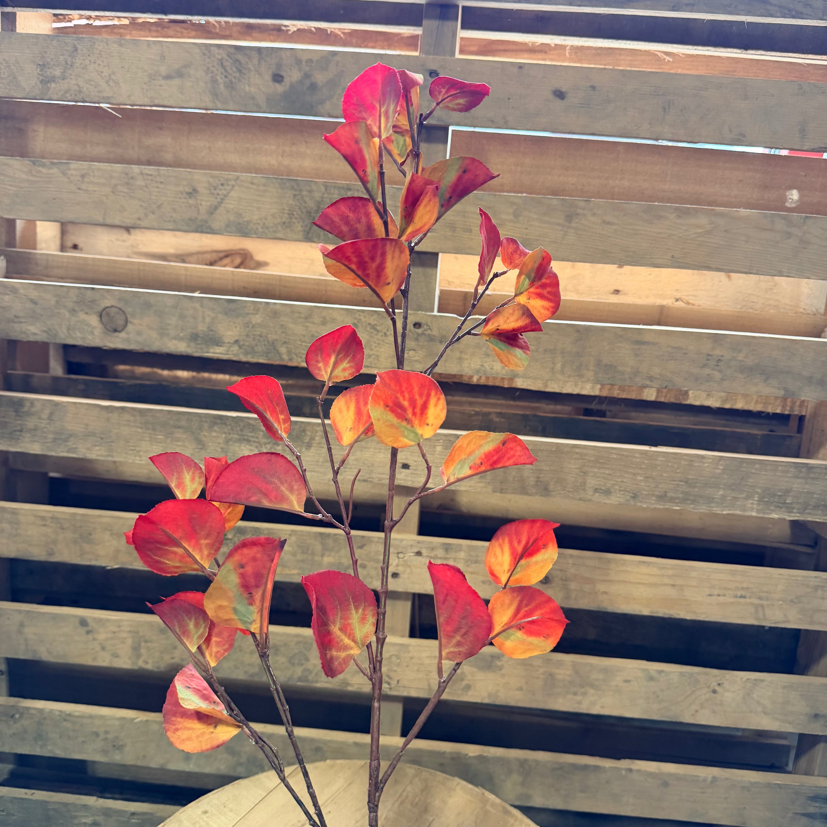35” Aspen Leaf Spray Spice - 6081W9935