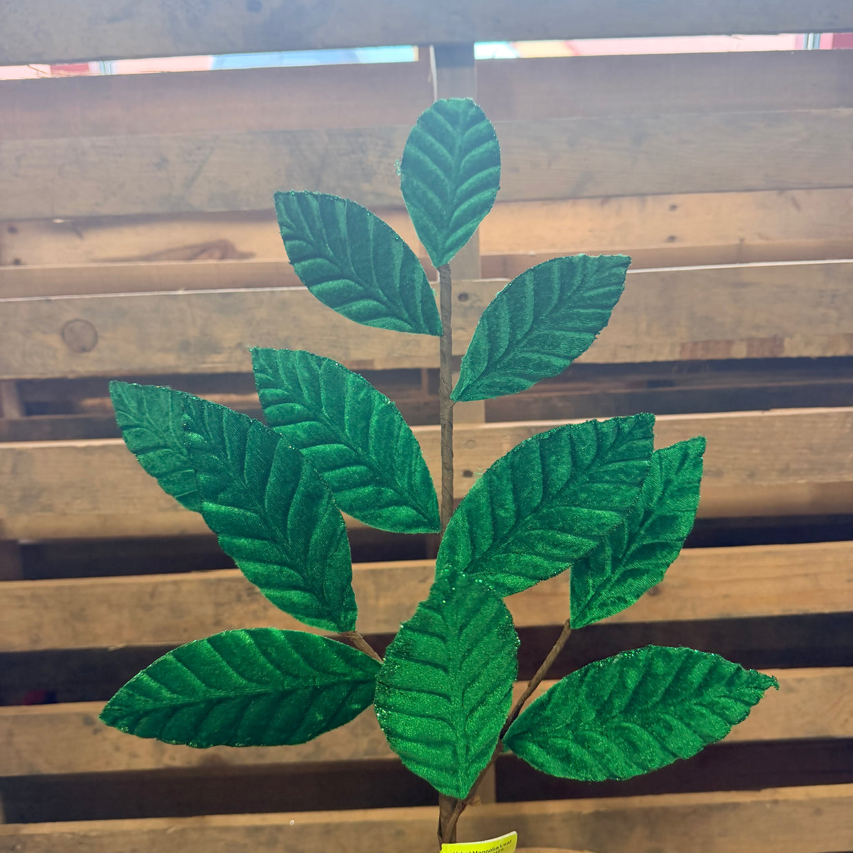 25" Green Velvet Magnolia Leaf Spray - 85361GN