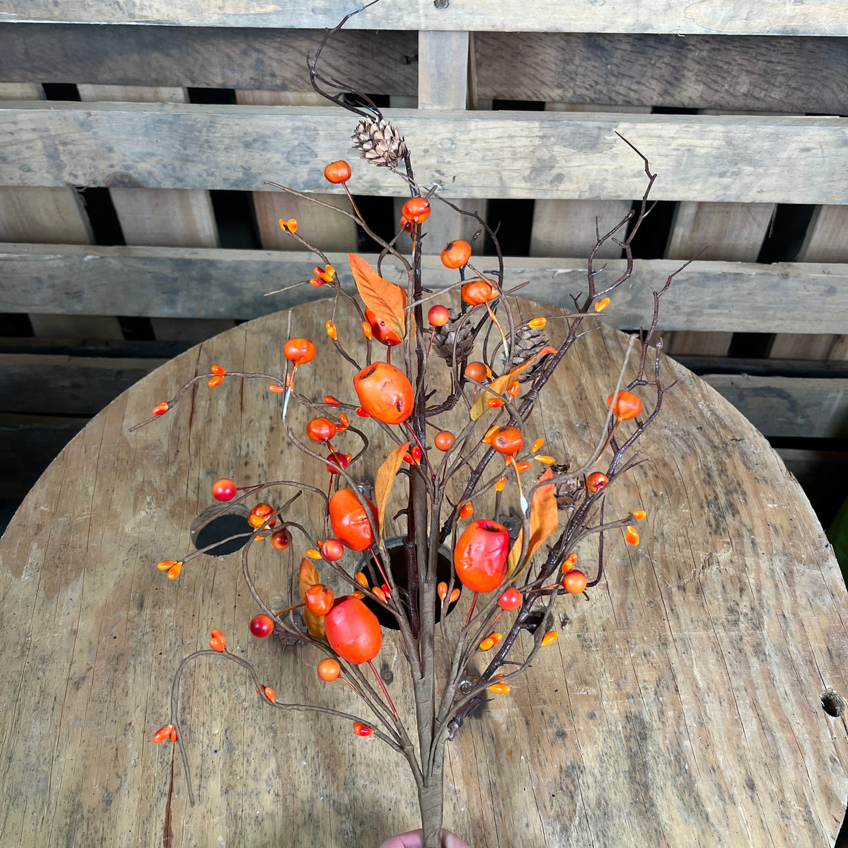 28" fall pod berry  bush - FQ220328