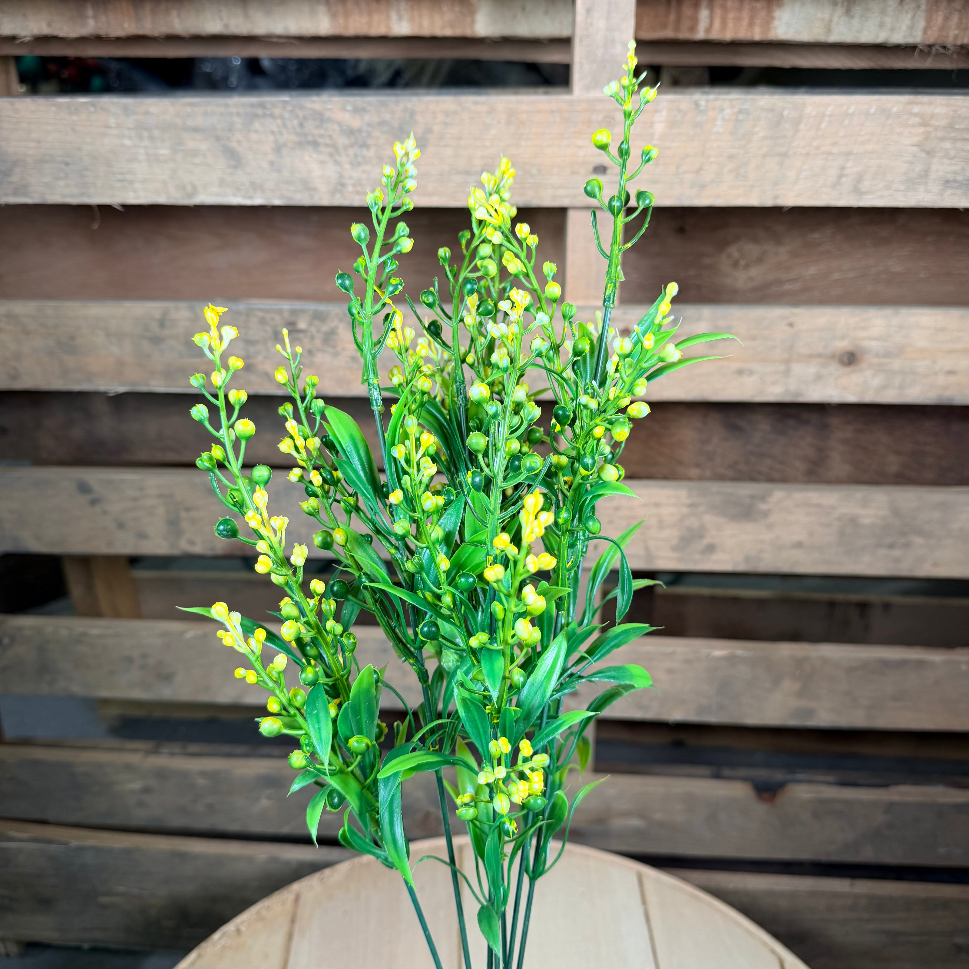 Mini Berry bush - 80772