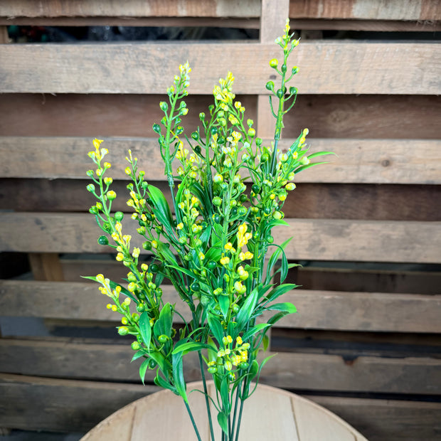 Mini Berry bush - 80772
