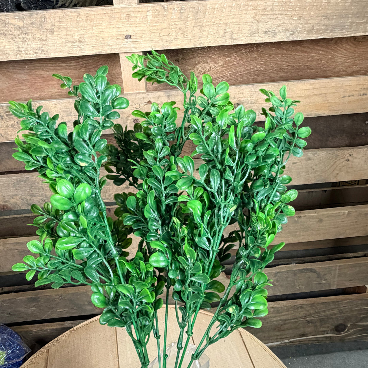 19"  Plastic Boxwood Bush - 13570BU19