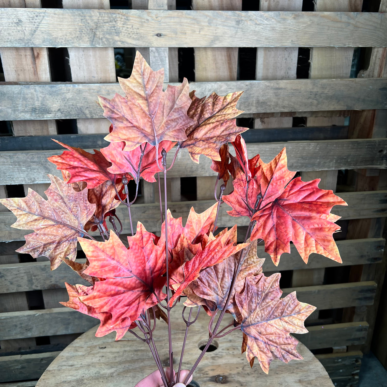 20"  Maple leaf spray - 97532