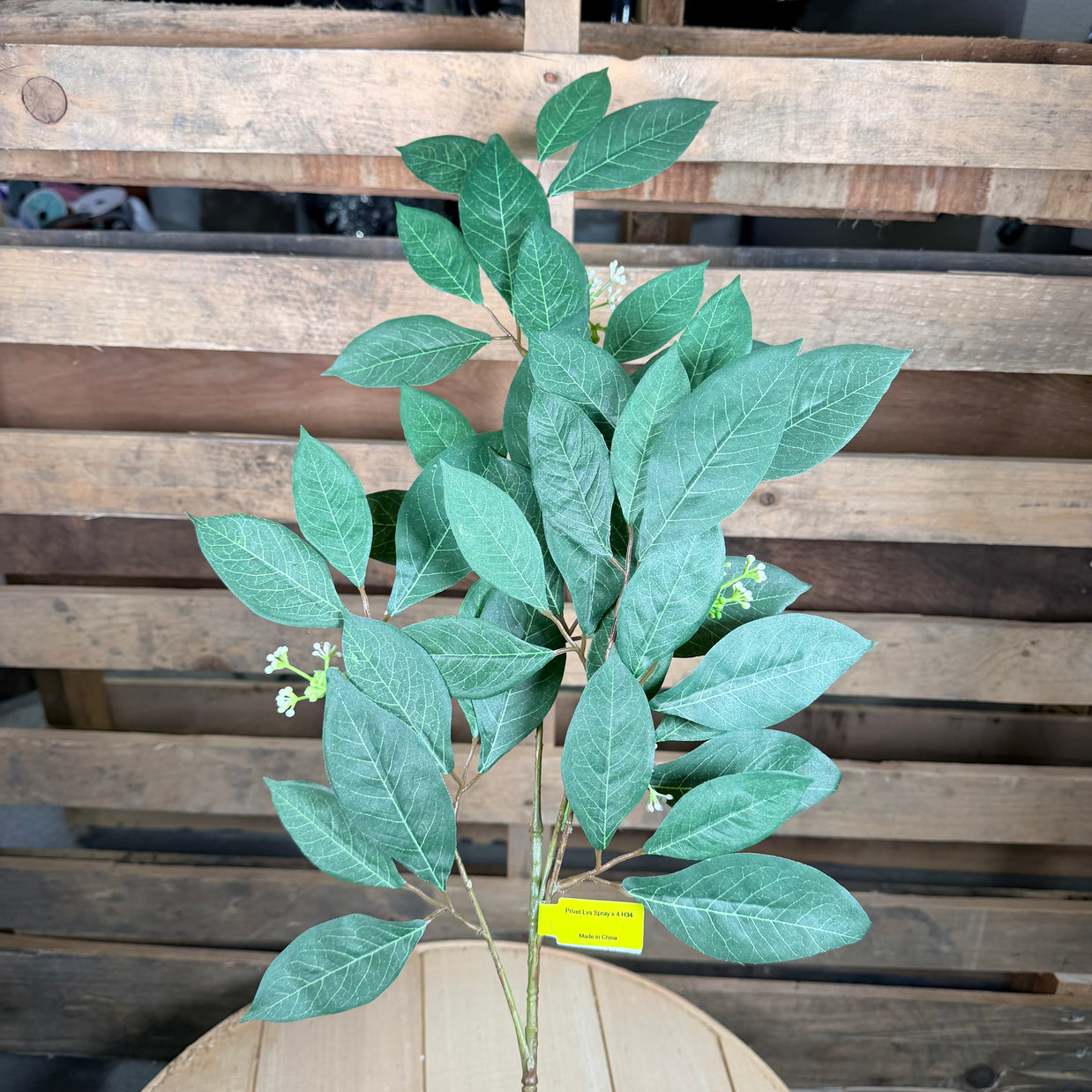 34"   Privet Leaf Spray - 13669GN