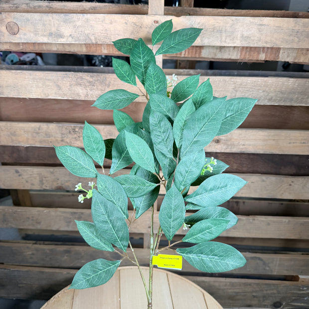 34"   Privet Leaf Spray - 13669GN