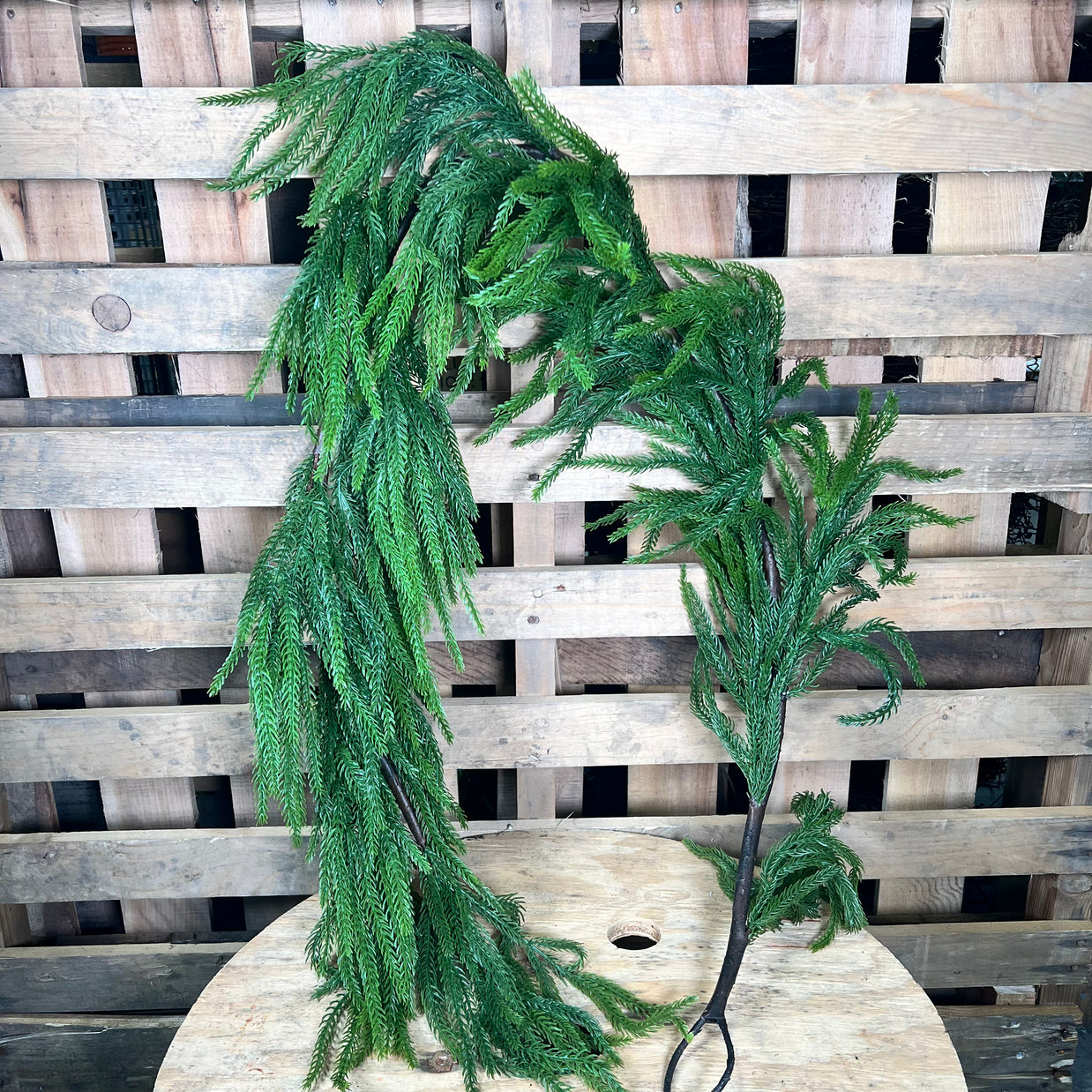 63" Green Norfolk Pine Garland - RS240430