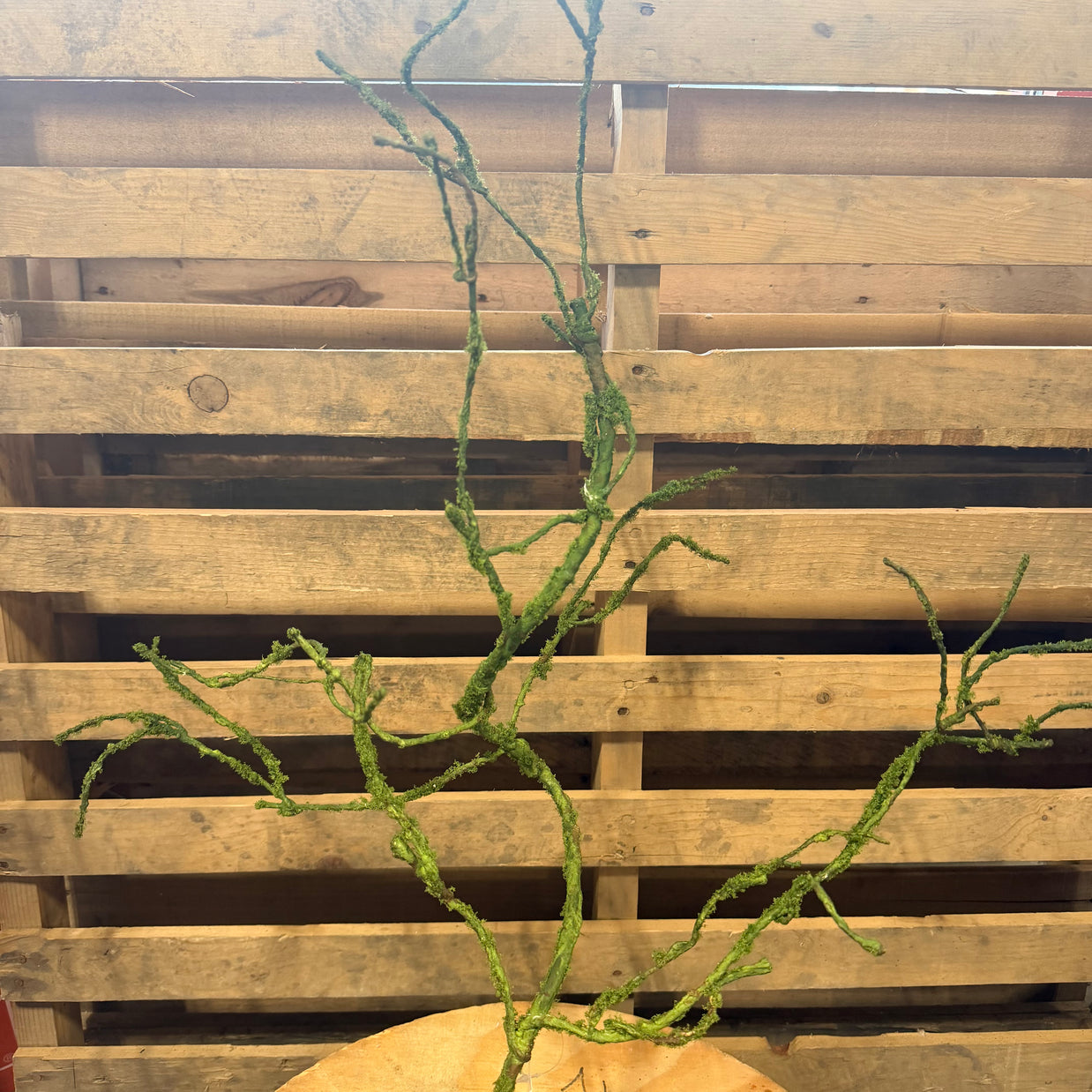 37" Moss green wild twig branch - FT183909