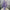 41"L PURPLE V-CUT GLITTER WILD TWIG SPRAY - HH762599PU