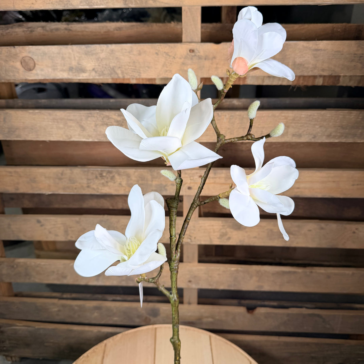 Magnolia Spray -  79461