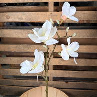 Magnolia Spray -  79461