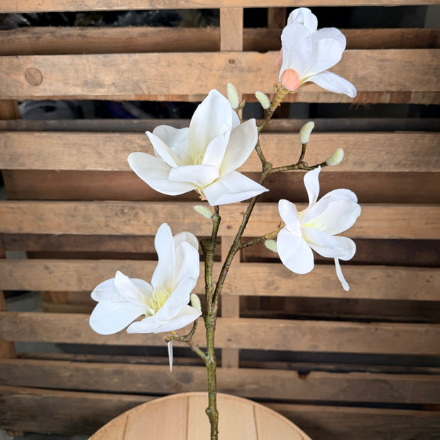 Magnolia Spray -  79461