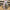 1.5"X10YD natural cardinal  Wired Ribbon - RGF136018
