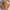 36"H Orange tear drop swag base - K162407