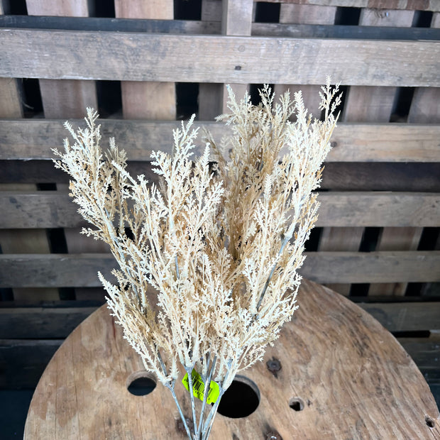 19in cream cedar filler bush - 57315BE