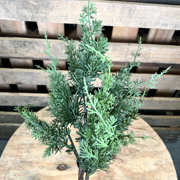 32 ”H Eastern Cypress spray - DC25733