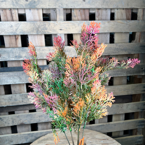 22" Fall Cedar bush - 58304