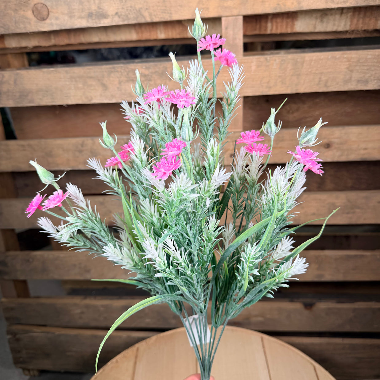 19" Pink rosemary bush -  80323
