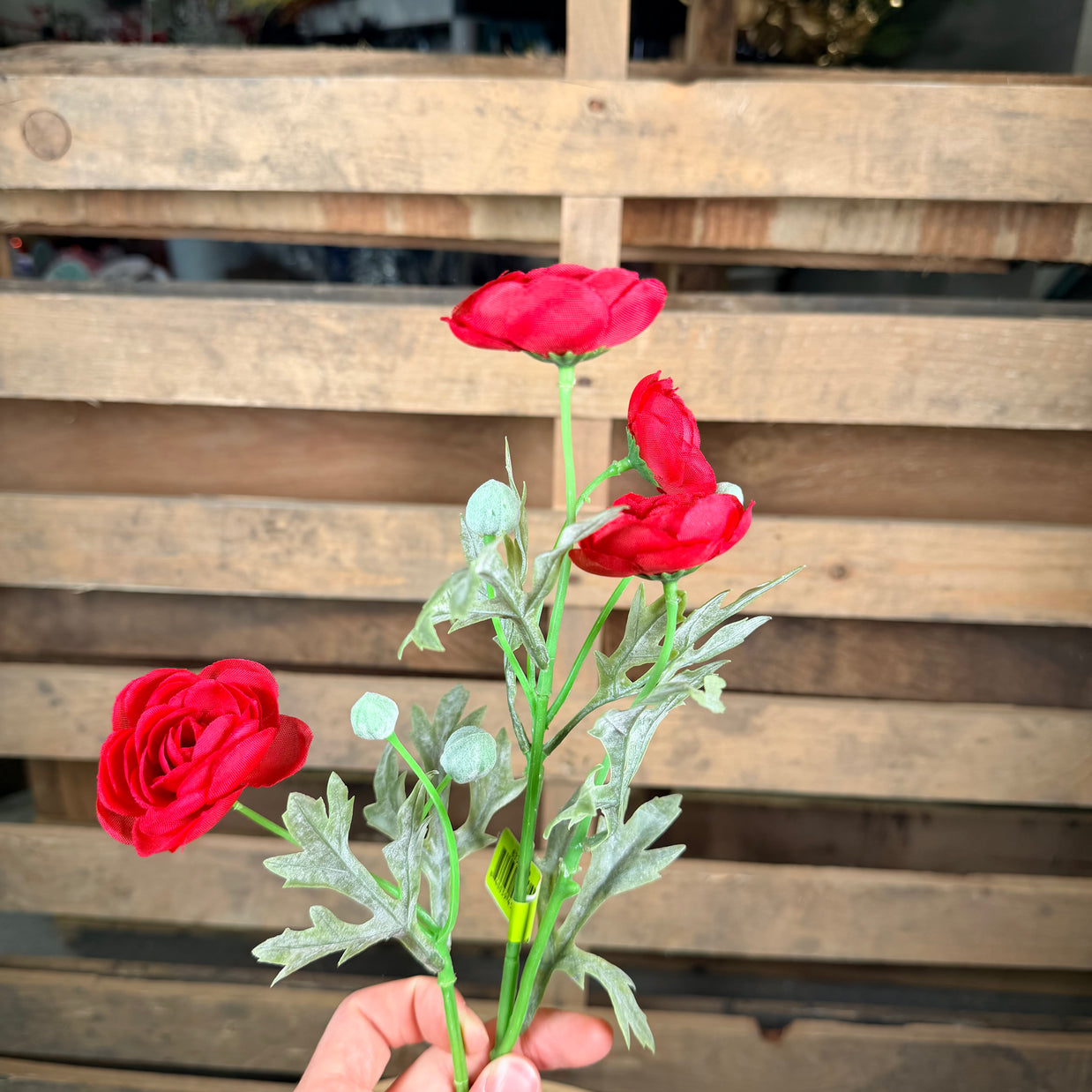 21" Red Ranunculus Spray - 63328RD