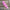 36"H Pink tear drop swag base - K163807