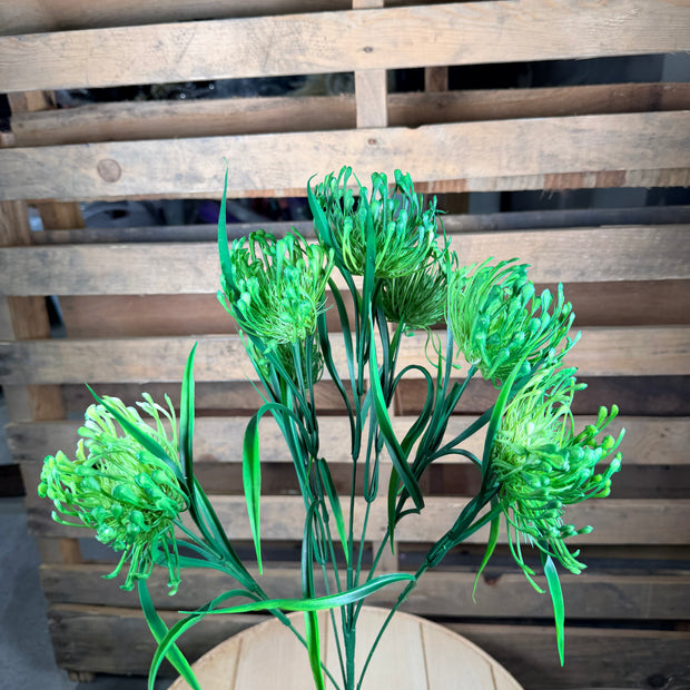 Spider mum bush -  57371