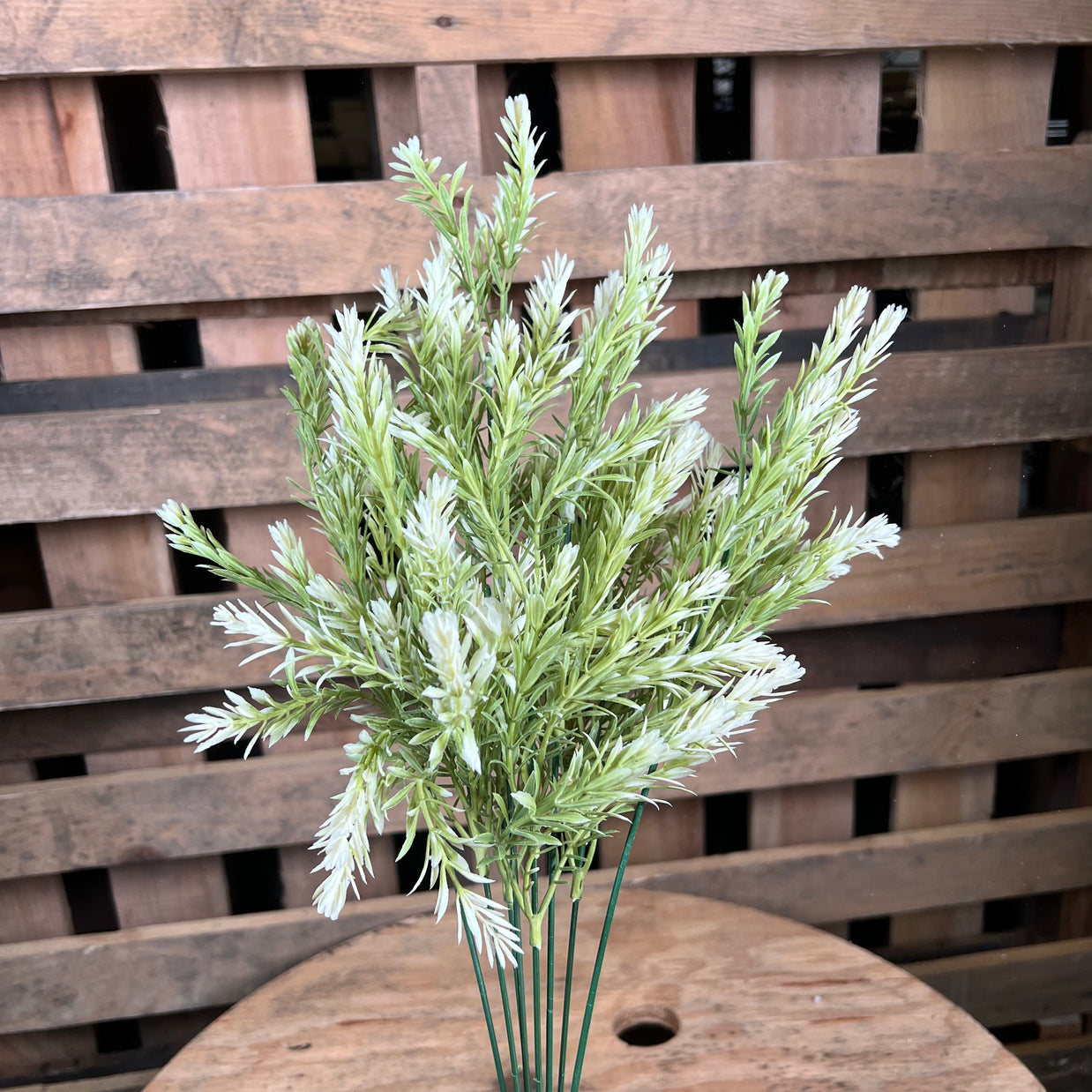 19" white rosemary bush - 57751