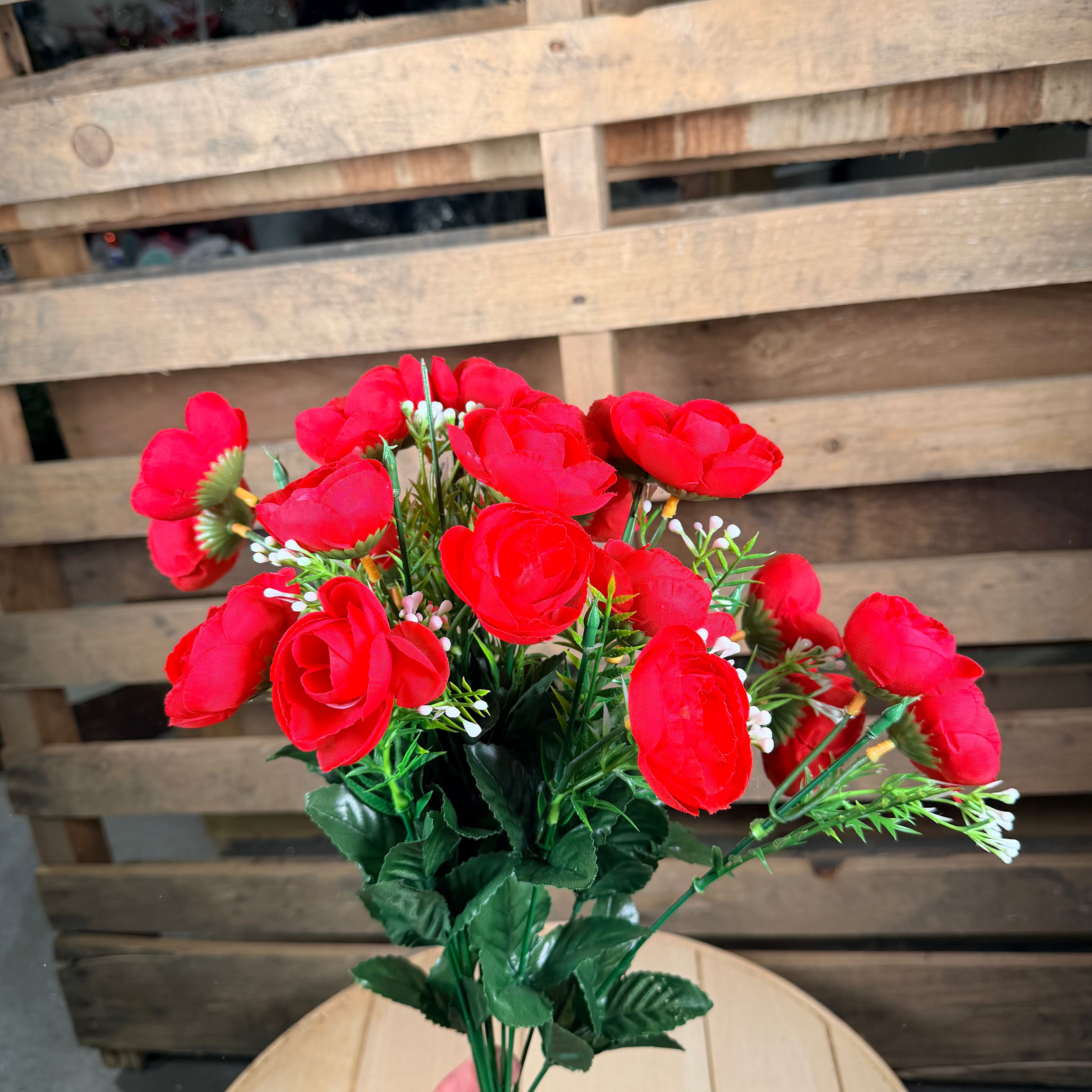 Red mini camillia bush - 36358