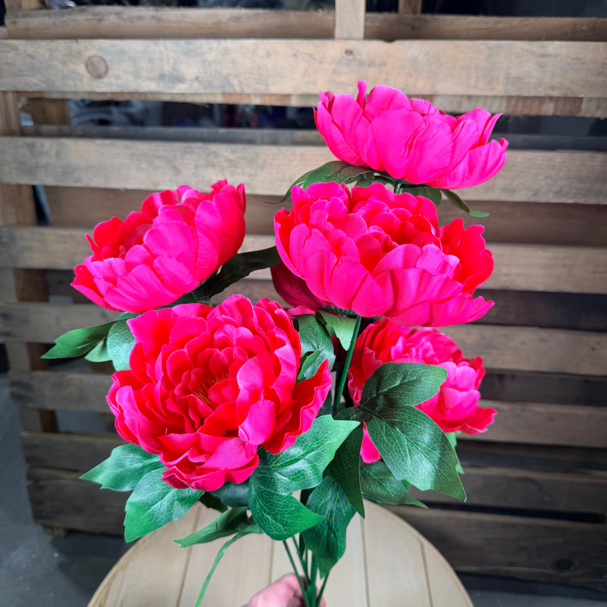 Pink  Peony Bush - 21437