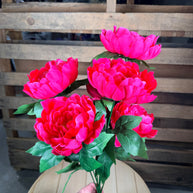 Pink  Peony Bush - 21437