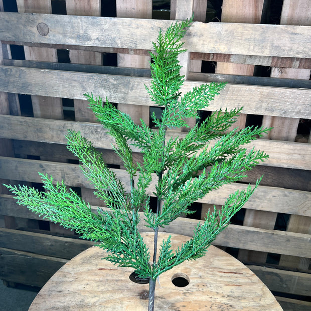 34 inch selaginella fresh touch  cedar spray - DC19267