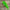 36"H Lime green tear drop swag base - K162707