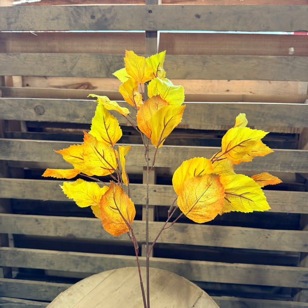 31” Birch Leaf Stem Golden - 6155W9923