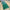 12” pencil PVC evergreen stems - 25 pack - MA000209
