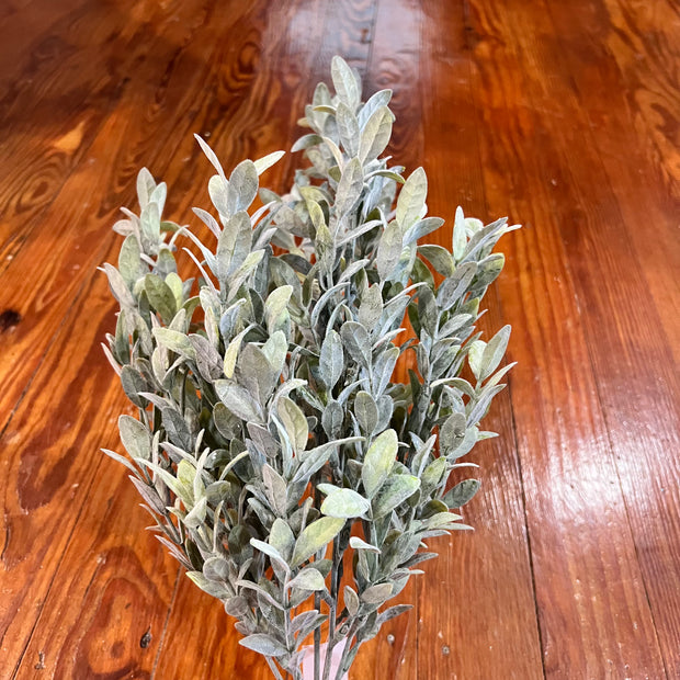 18 inch ruscus greenery - 84457