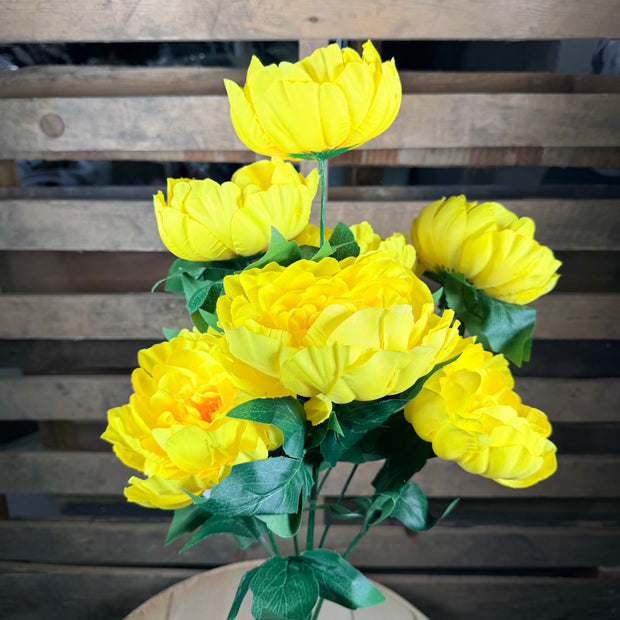 Yellow Peony Bush - 21432