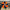 10.5in Orange  lollipop - 57244ORBK
