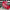 2.5” x 10yd North Pole Cookie Company embroidery designer ribbon - DCR5507