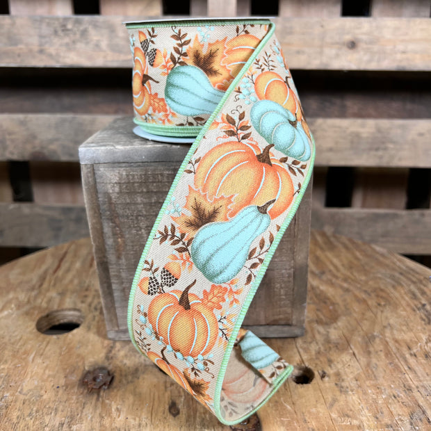2.5"X10YD pumpkin and gourd  Wired Ribbon - RGE1987J1