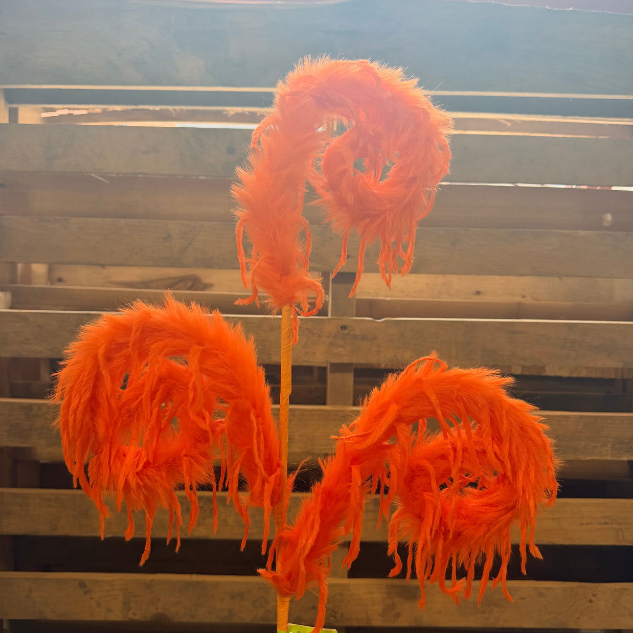28" Orange Furry Spiral Curly Spray -  57305OR