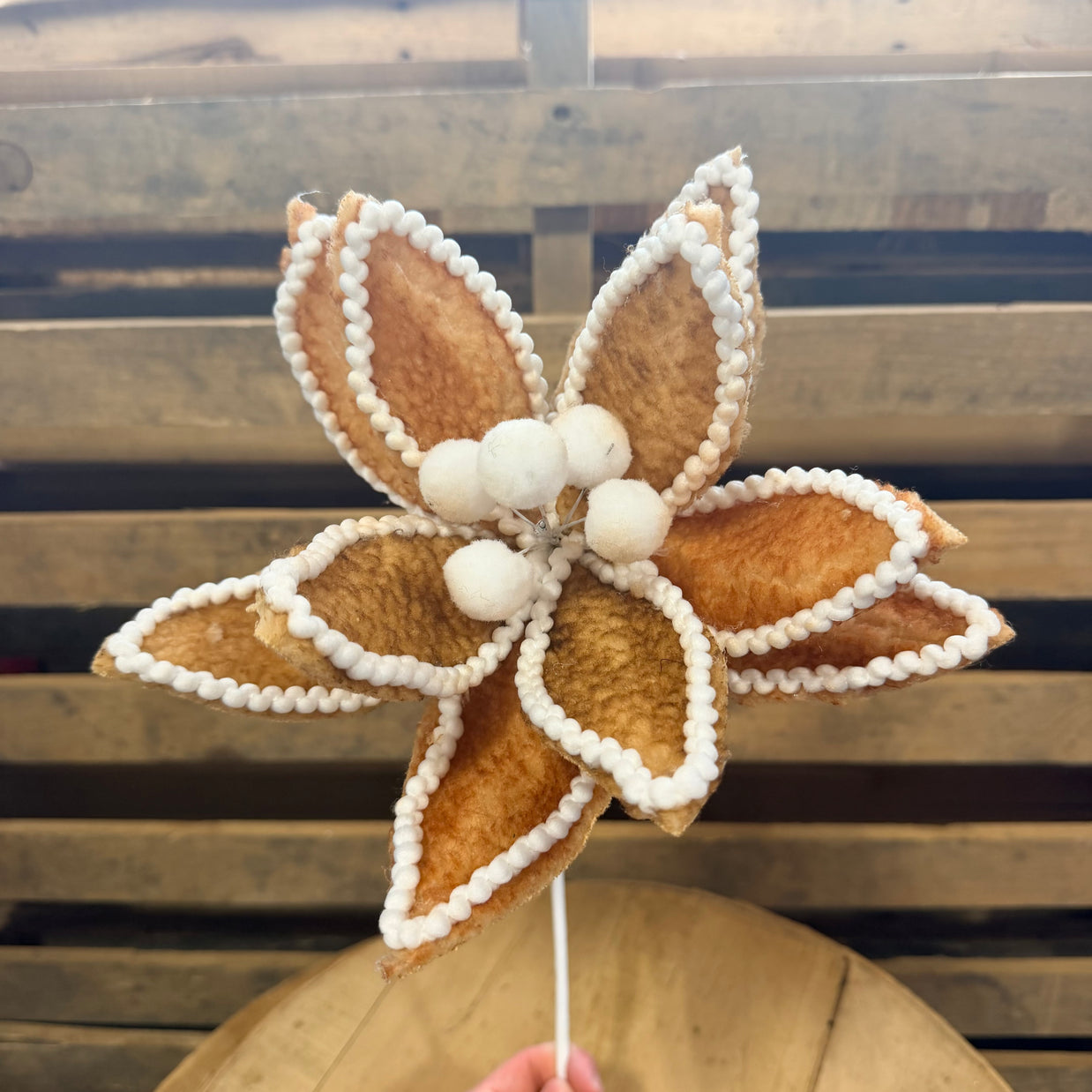 7" Gingerbread Poinsettia Stem - 86830BN