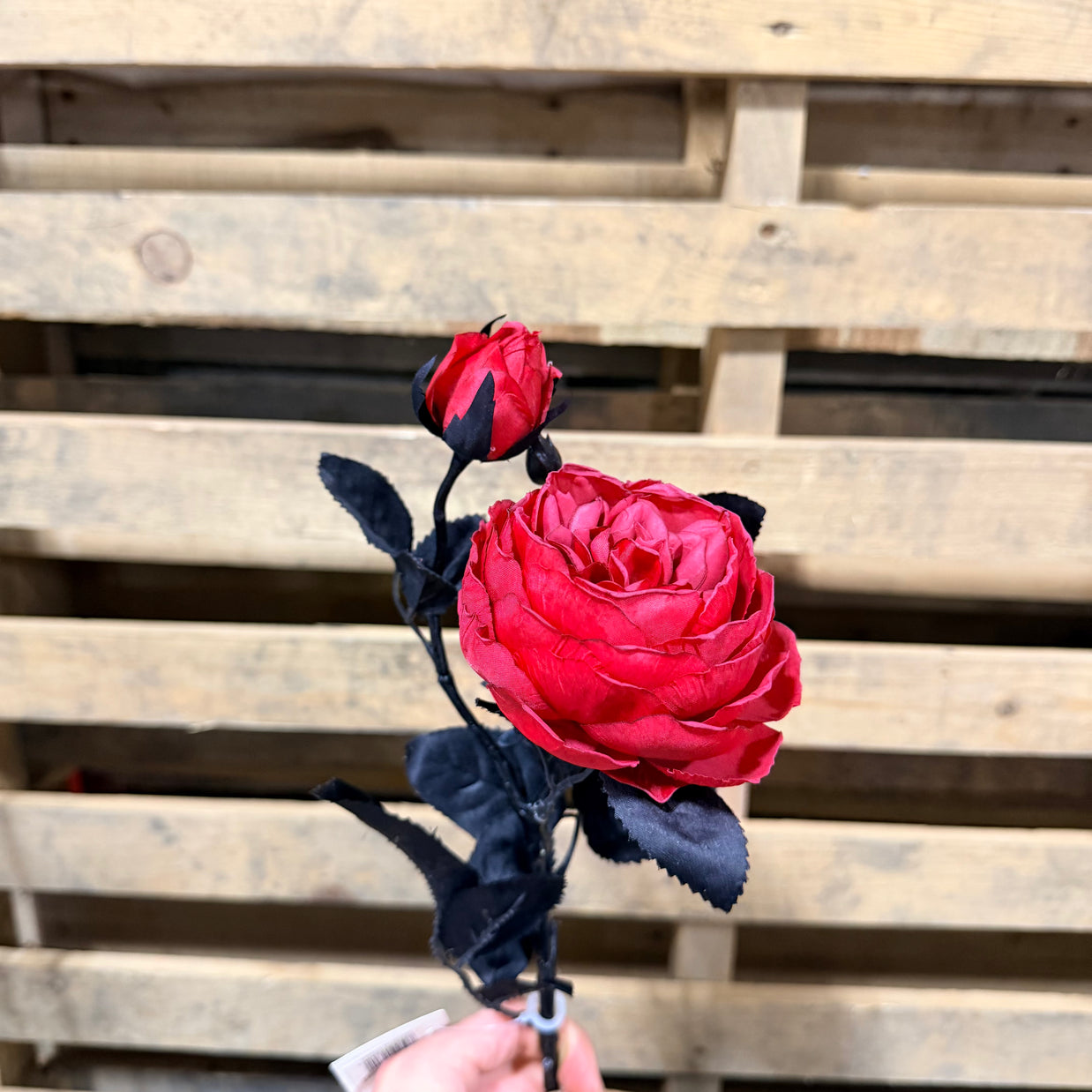 21" Red Rose Stem - FS380052