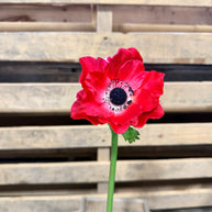 17” red poppy stem - FS391624