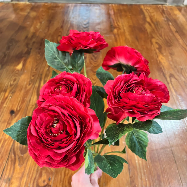 19 in red ranunculus bush - 84894 - RD