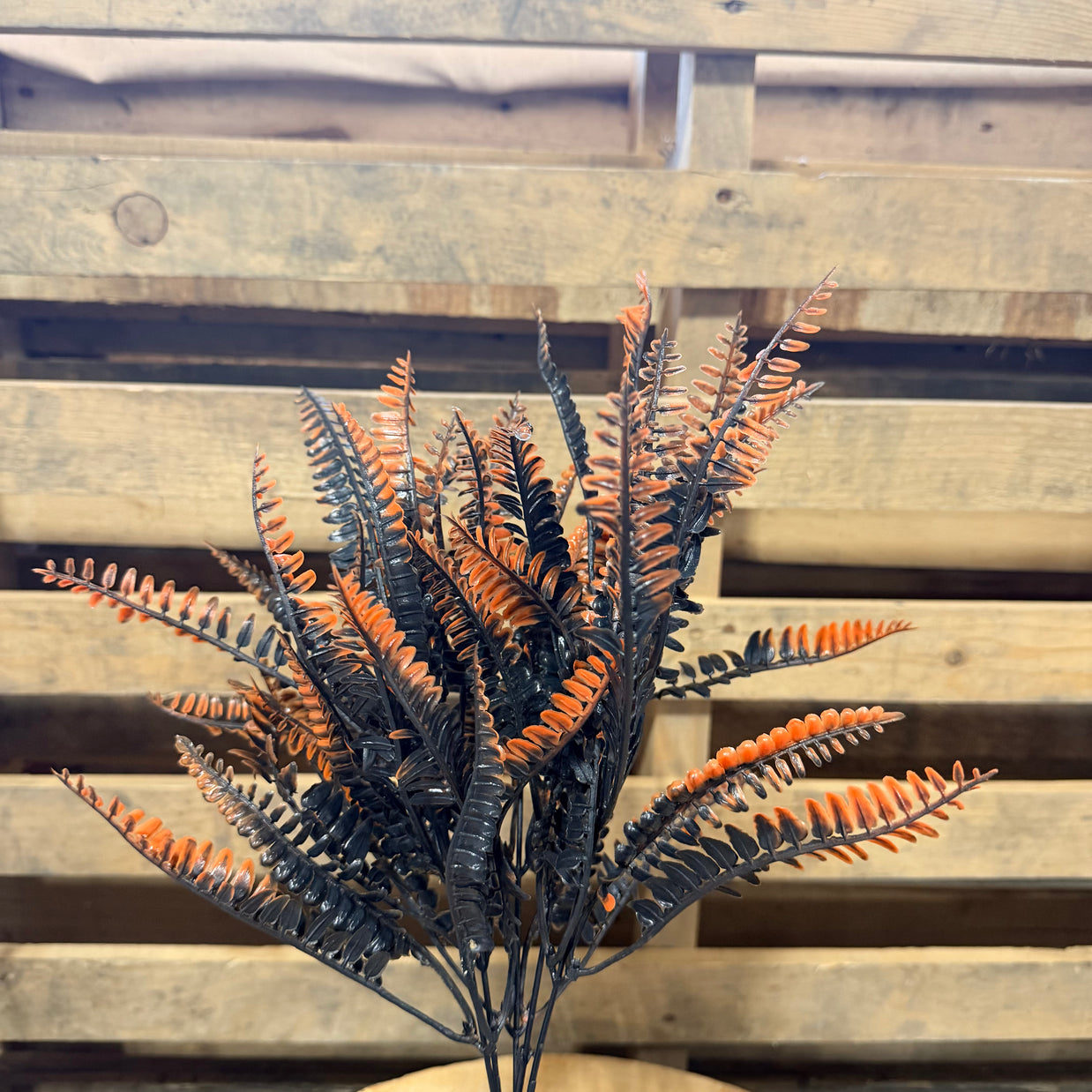 16" Fern Bush - Black and Orange - HH760442