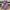 2.5 "X10YD verticals stripe and pokadot Wired Ribbon - RGF139820