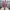 41"L PINK V-CUT GLITTER WILD TWIG SPRAY - HH762599PI