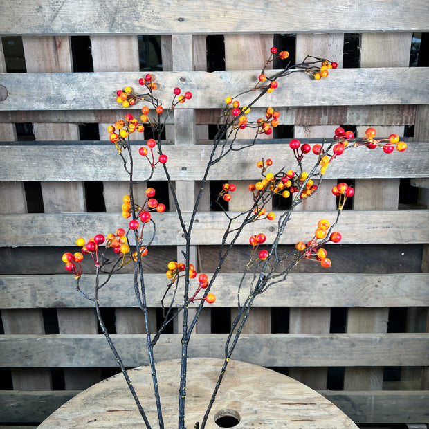 50"L BERRY BRANCH - HA1026