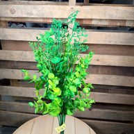 Eucalyptus mixed bush -  57761