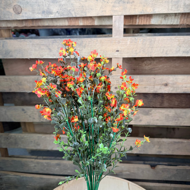 Orange Mini Gypso bush -  76623